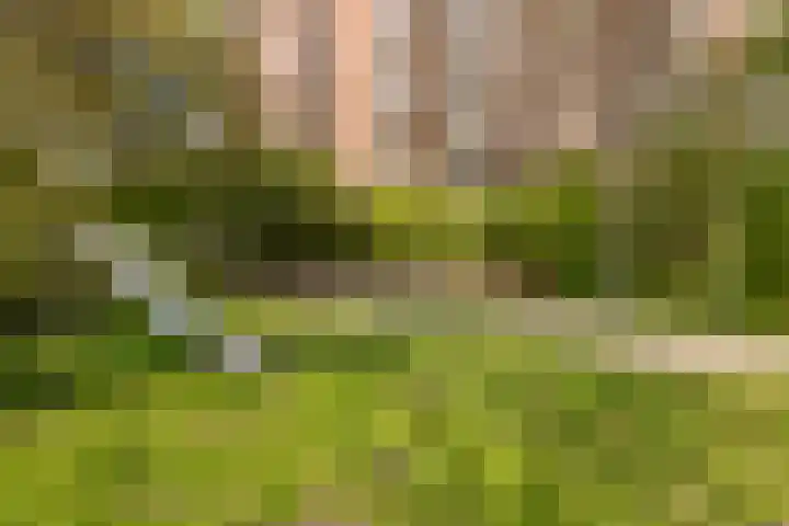 Leerdamhof 295 Amsterdam thumbnail 23