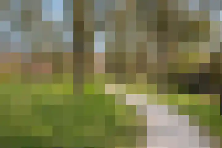Leerdamhof 295 Amsterdam thumbnail 31