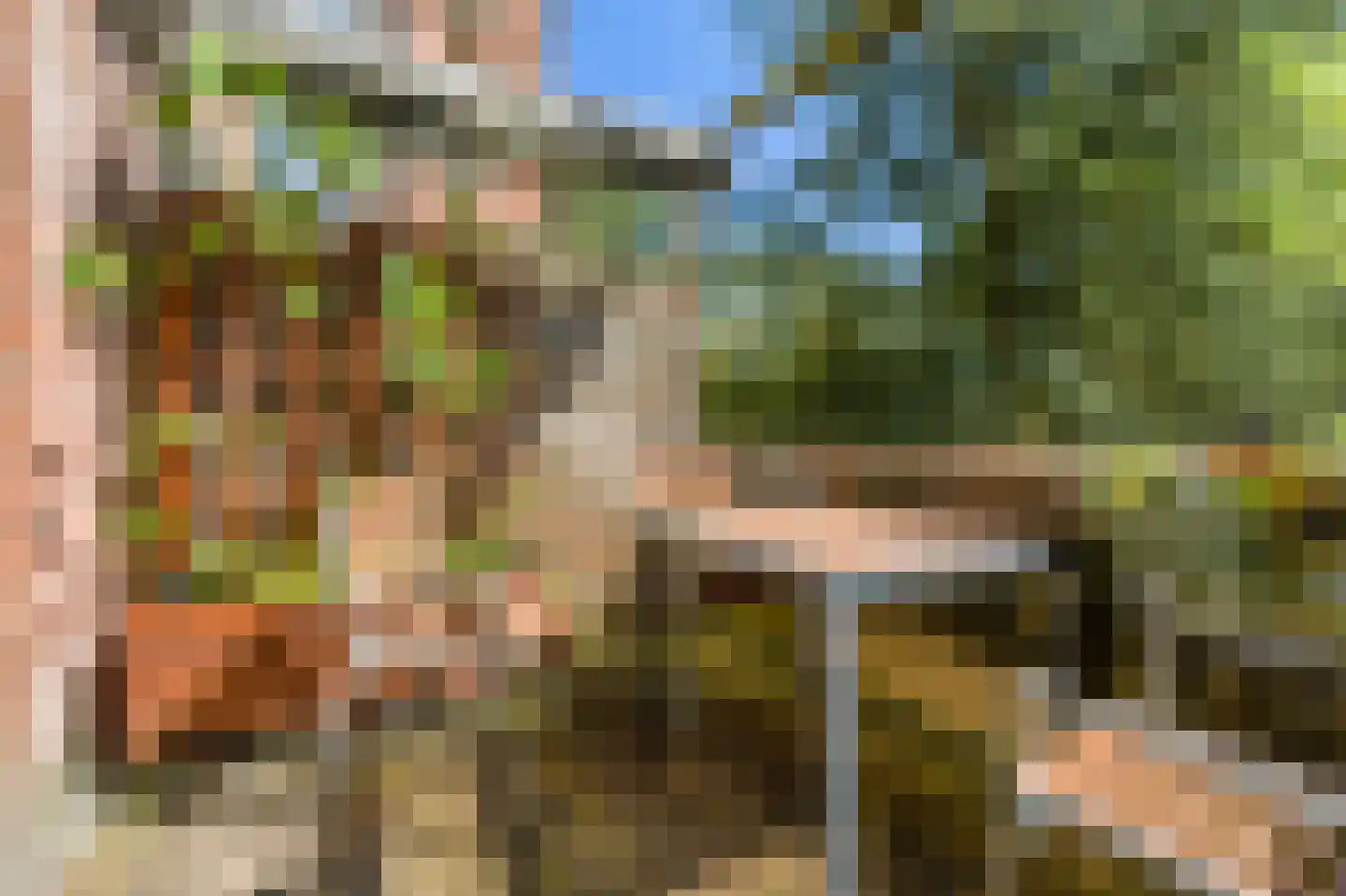 Leerdamhof 322 Amsterdam thumbnail 13