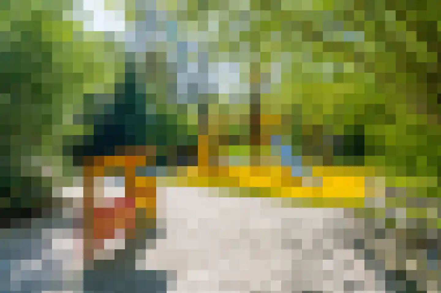Leerdamhof 322 Amsterdam thumbnail 45