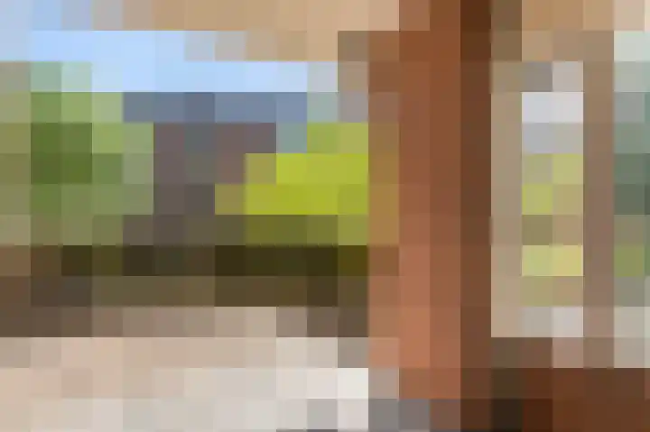 Leerdamhof 323 Amsterdam thumbnail 4