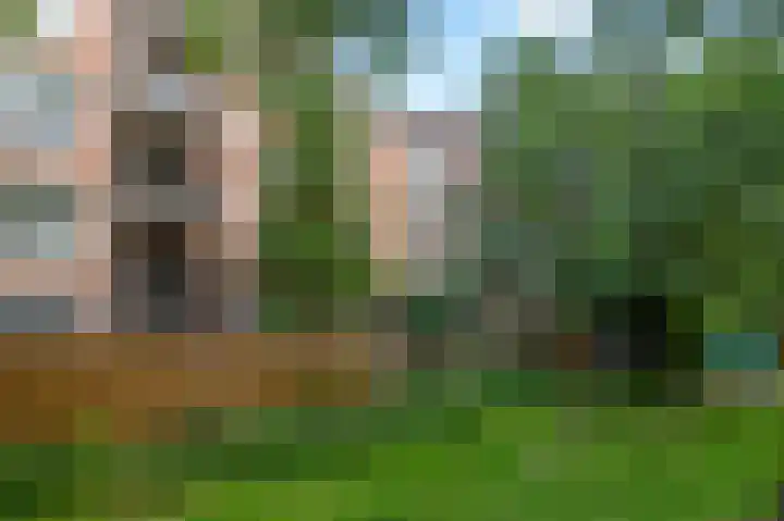 Leerdamhof 345 Amsterdam thumbnail 16