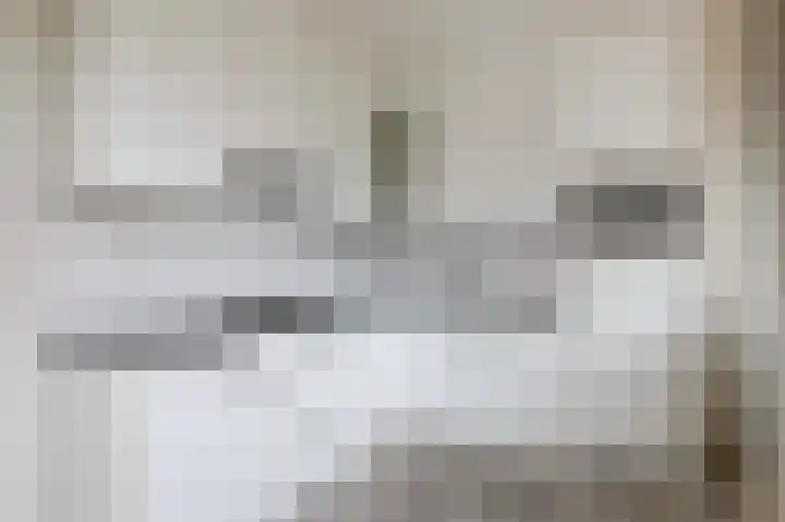 Leerdamhof 345 Amsterdam thumbnail 4