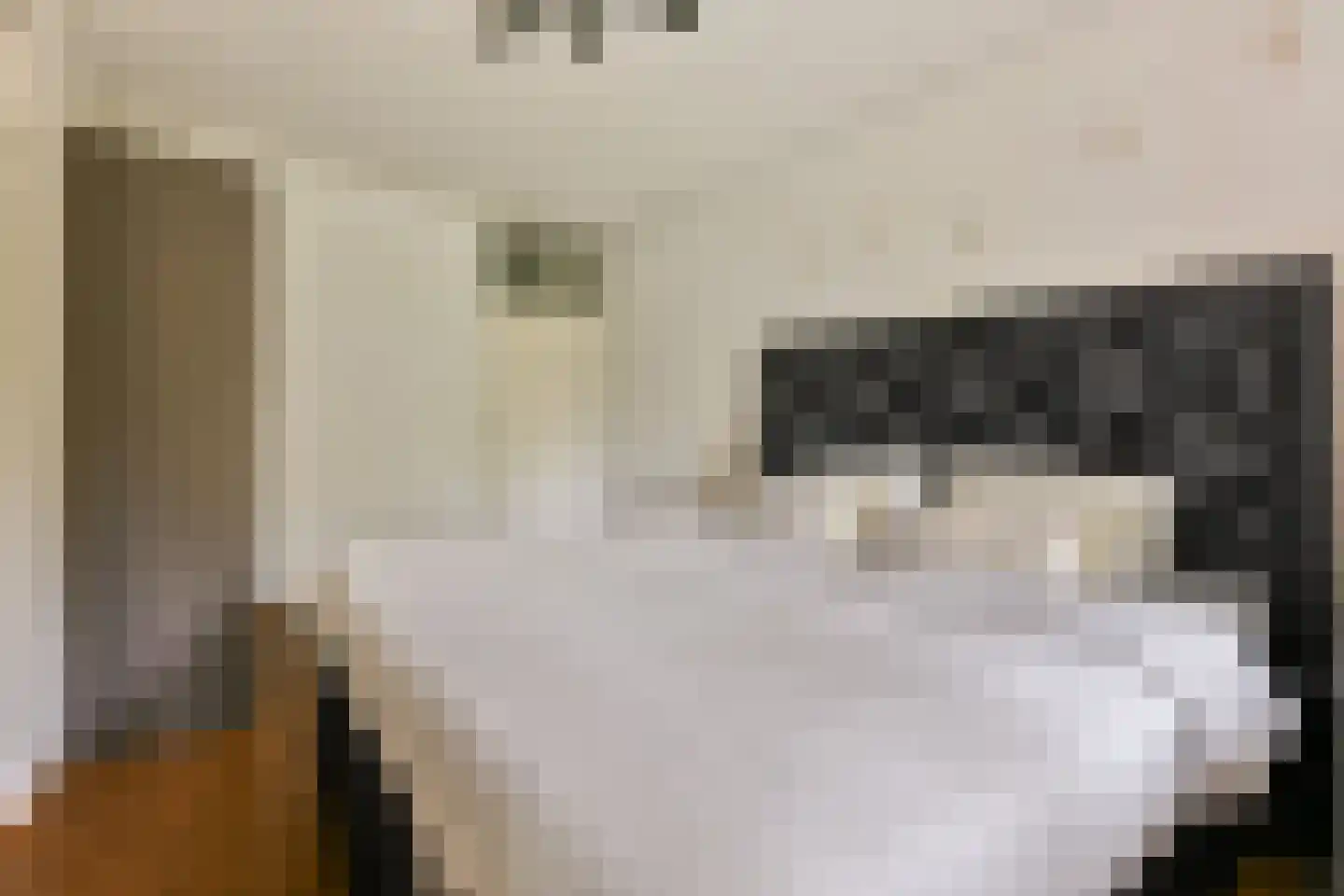 Leerdamhof 351 Amsterdam thumbnail 14