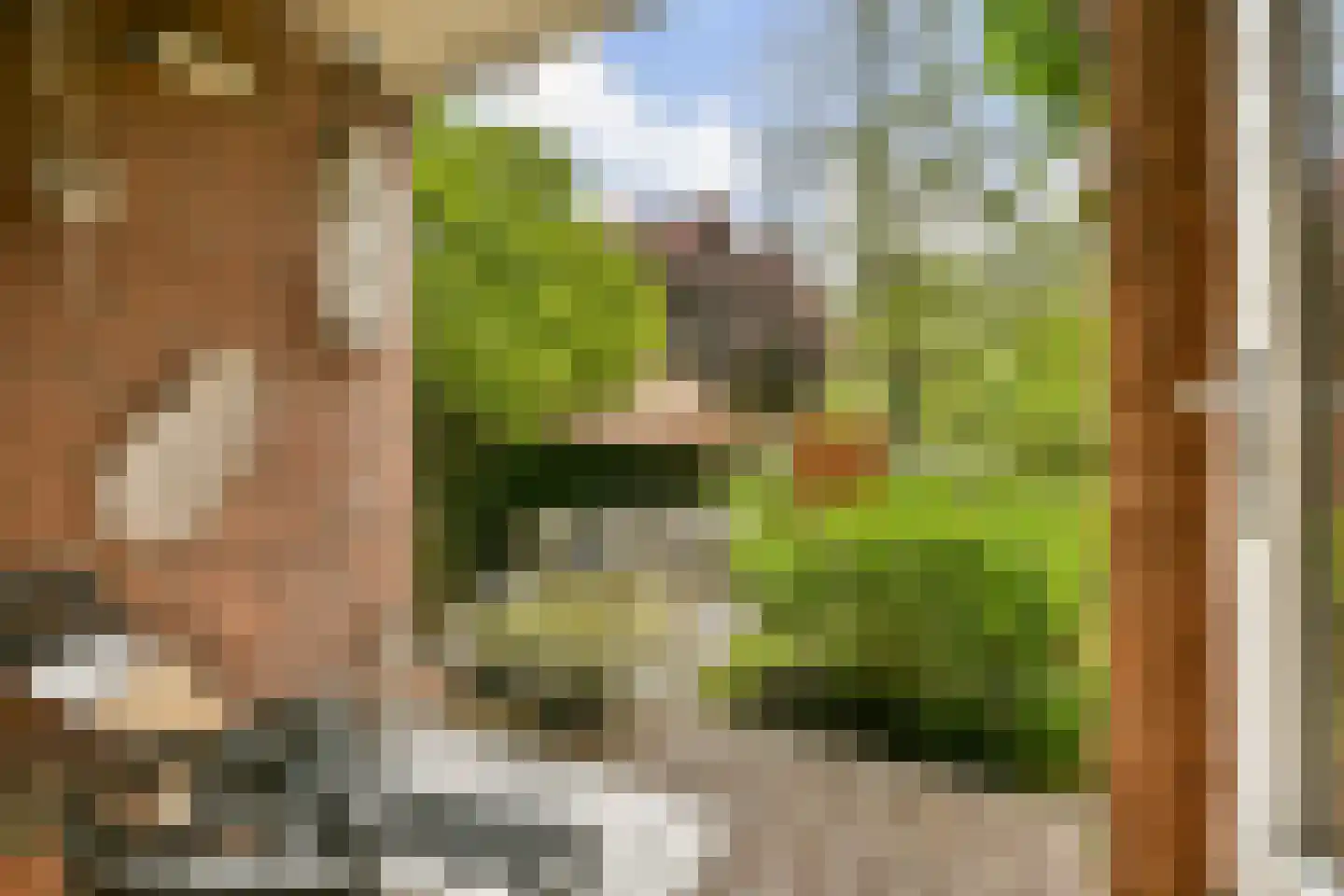 Leerdamhof 351 Amsterdam thumbnail 15