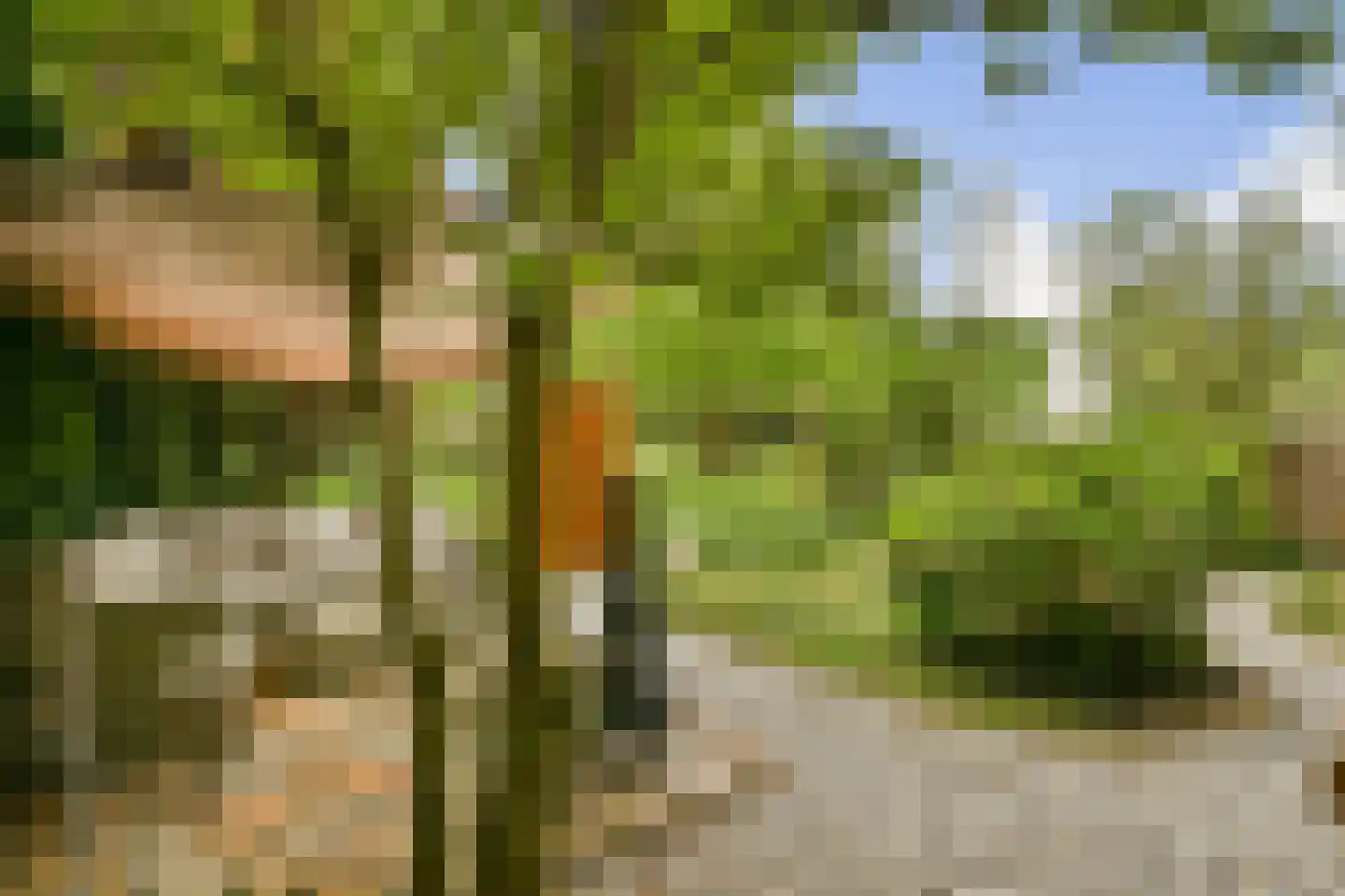 Leerdamhof 351 Amsterdam thumbnail 16