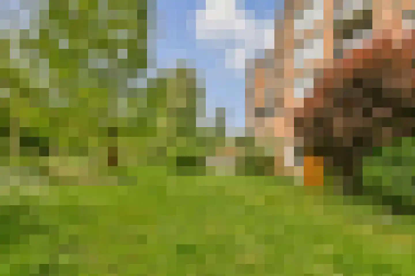 Leerdamhof 351 Amsterdam thumbnail 33