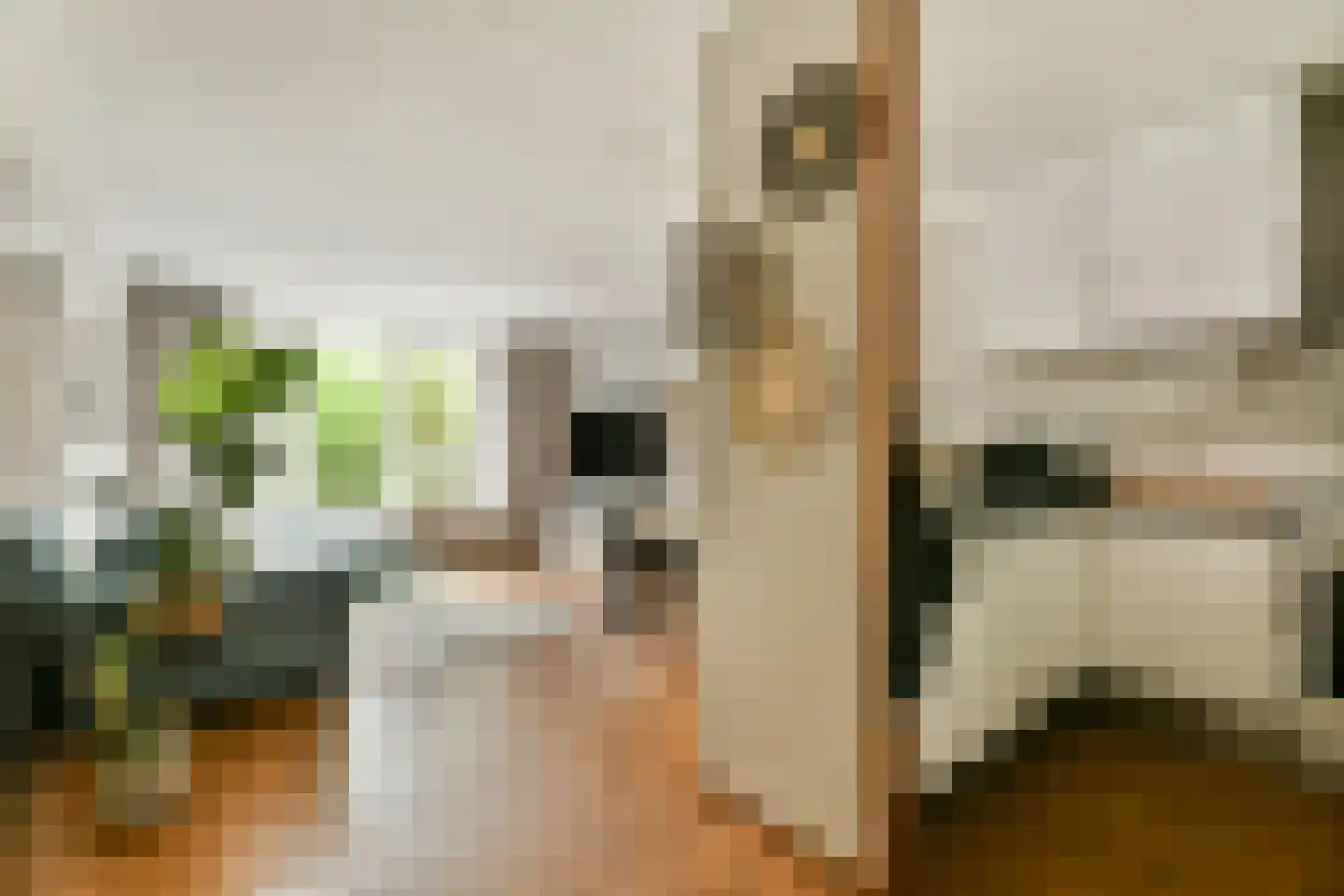 Leerdamhof 351 Amsterdam thumbnail 9