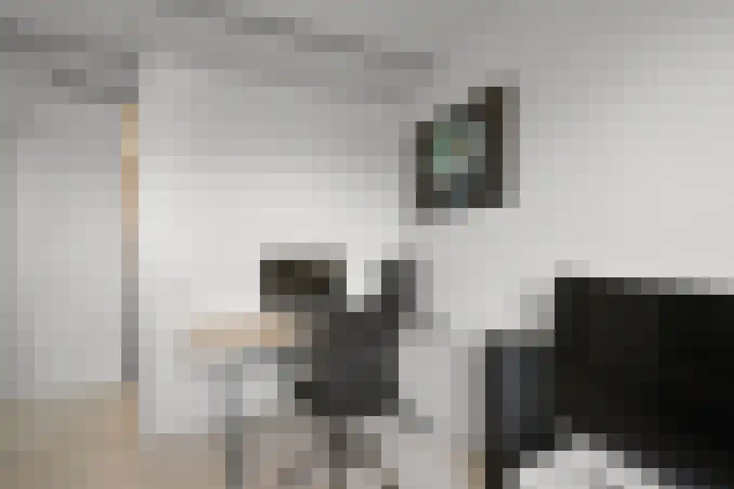 Leerdamhof 393 Amsterdam thumbnail 13
