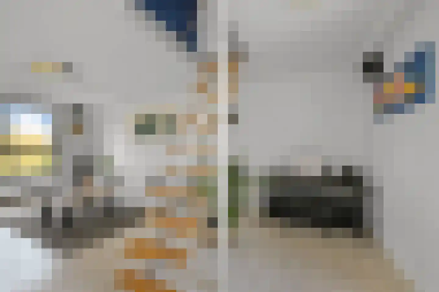 Leerdamhof 393 Amsterdam thumbnail 23