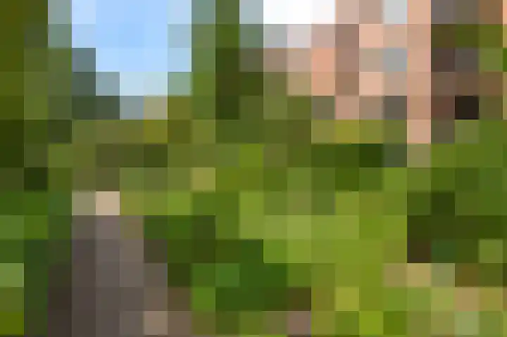Leerdamhof 396 Amsterdam thumbnail 18