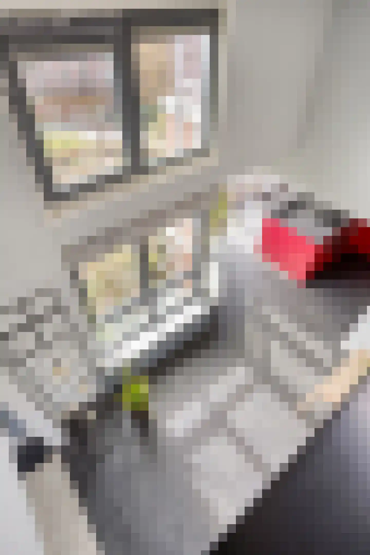 Leerdamhof 429 Amsterdam thumbnail 10