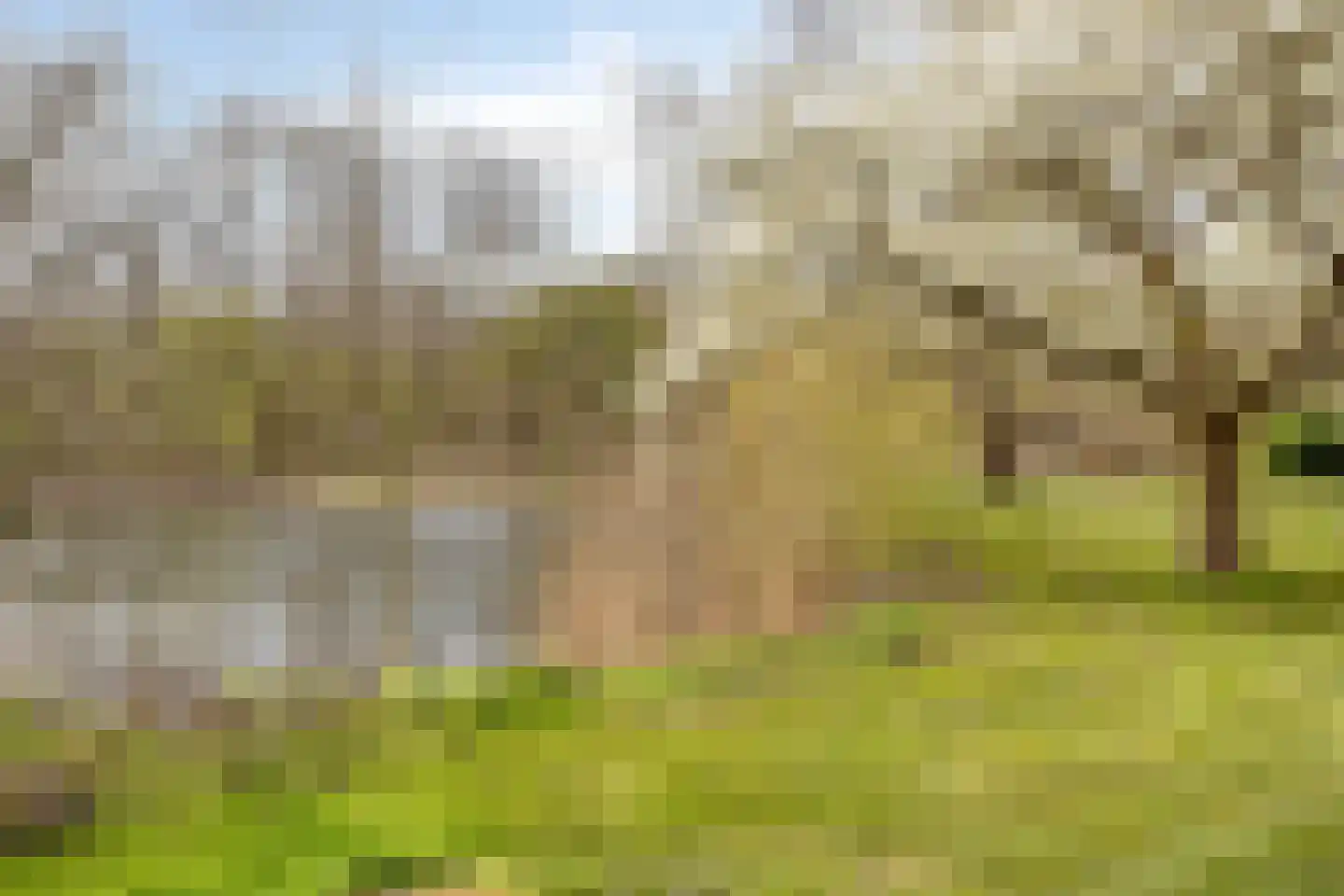 Leerdamhof 429 Amsterdam thumbnail 32