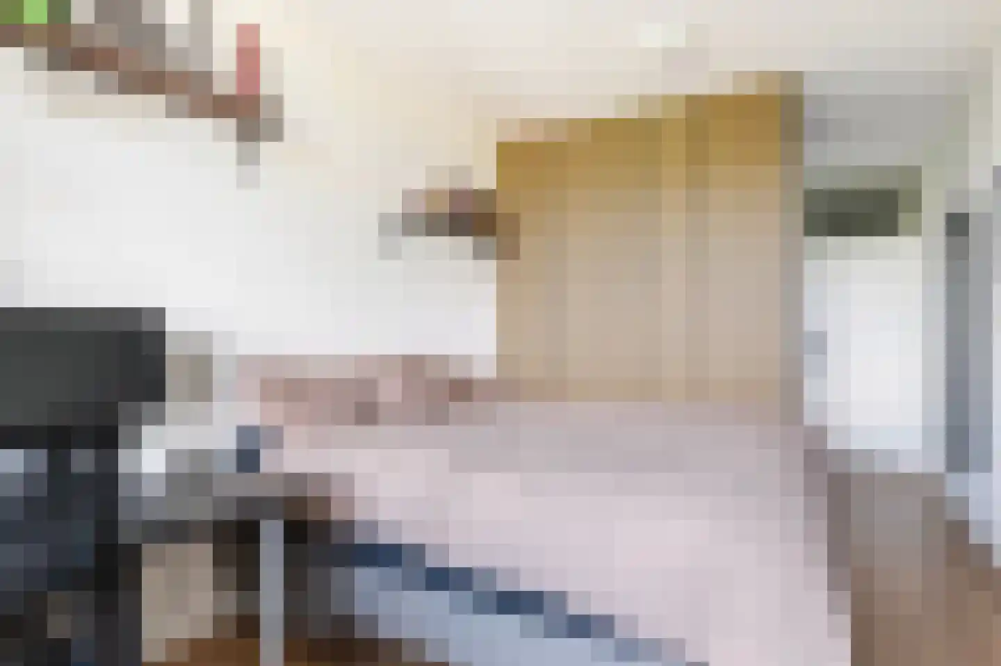 Leerdamhof 43 Amsterdam thumbnail 14