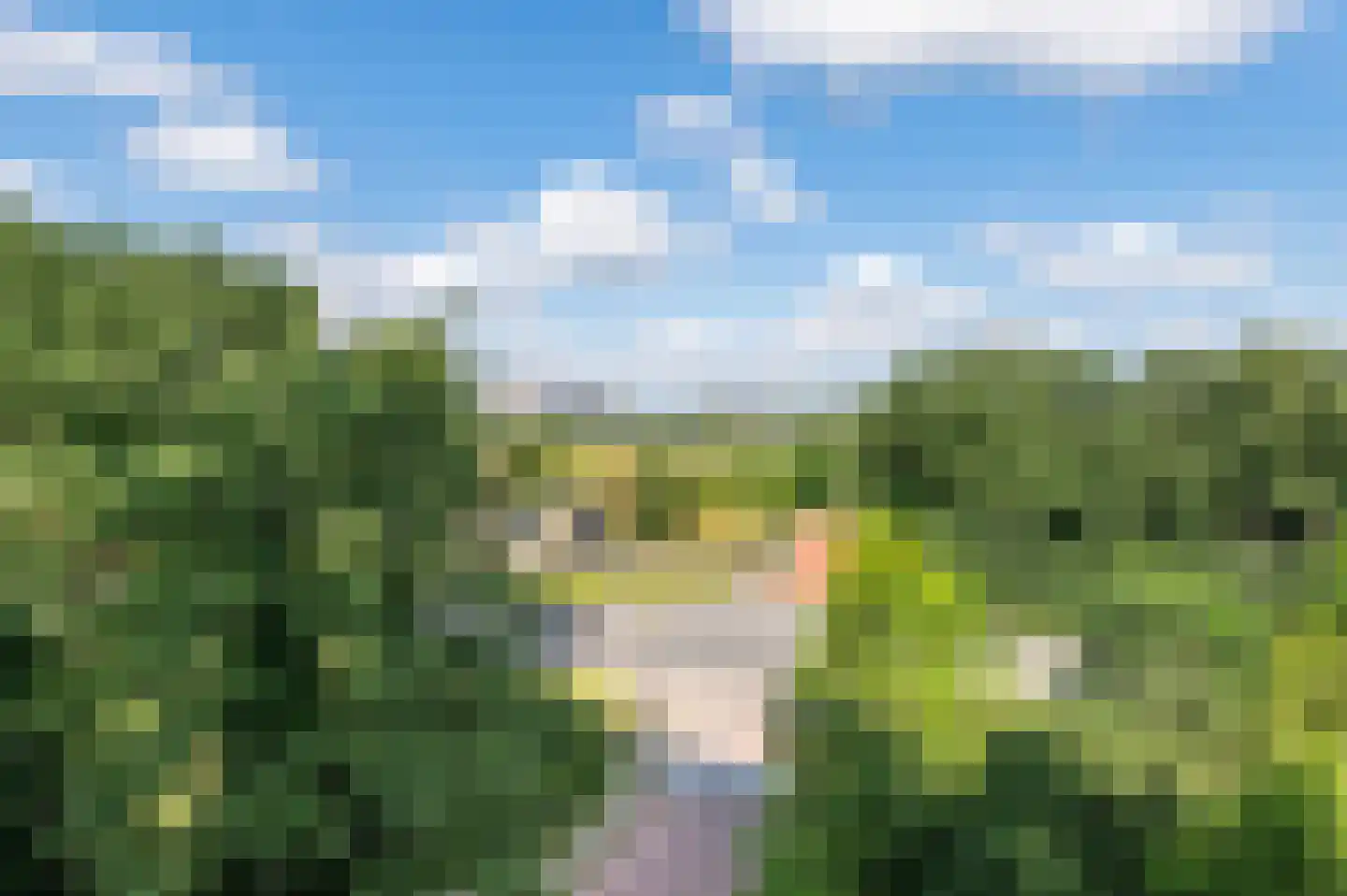 Leerdamhof 43 Amsterdam thumbnail 17