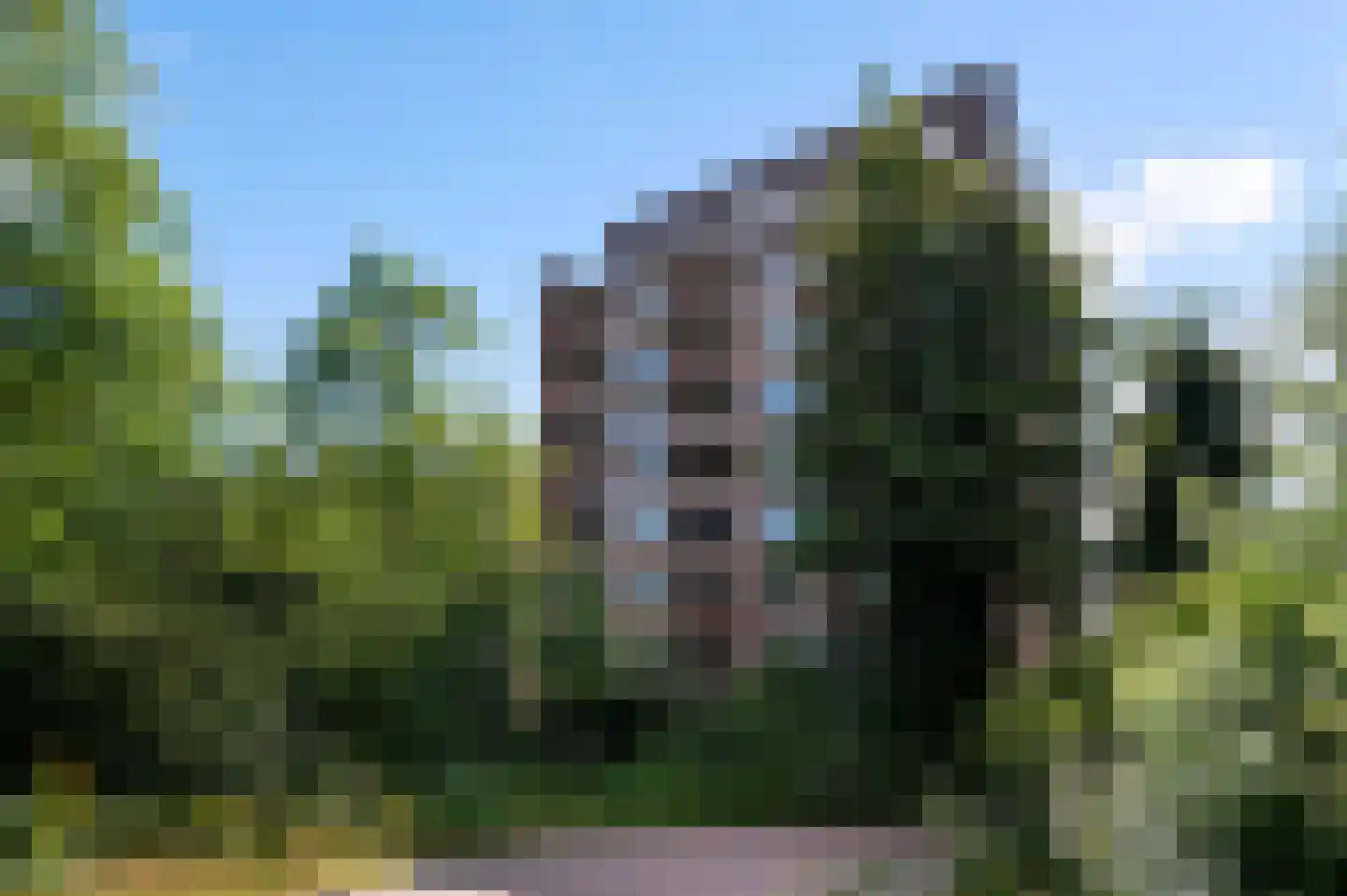 Leerdamhof 43 Amsterdam thumbnail 18