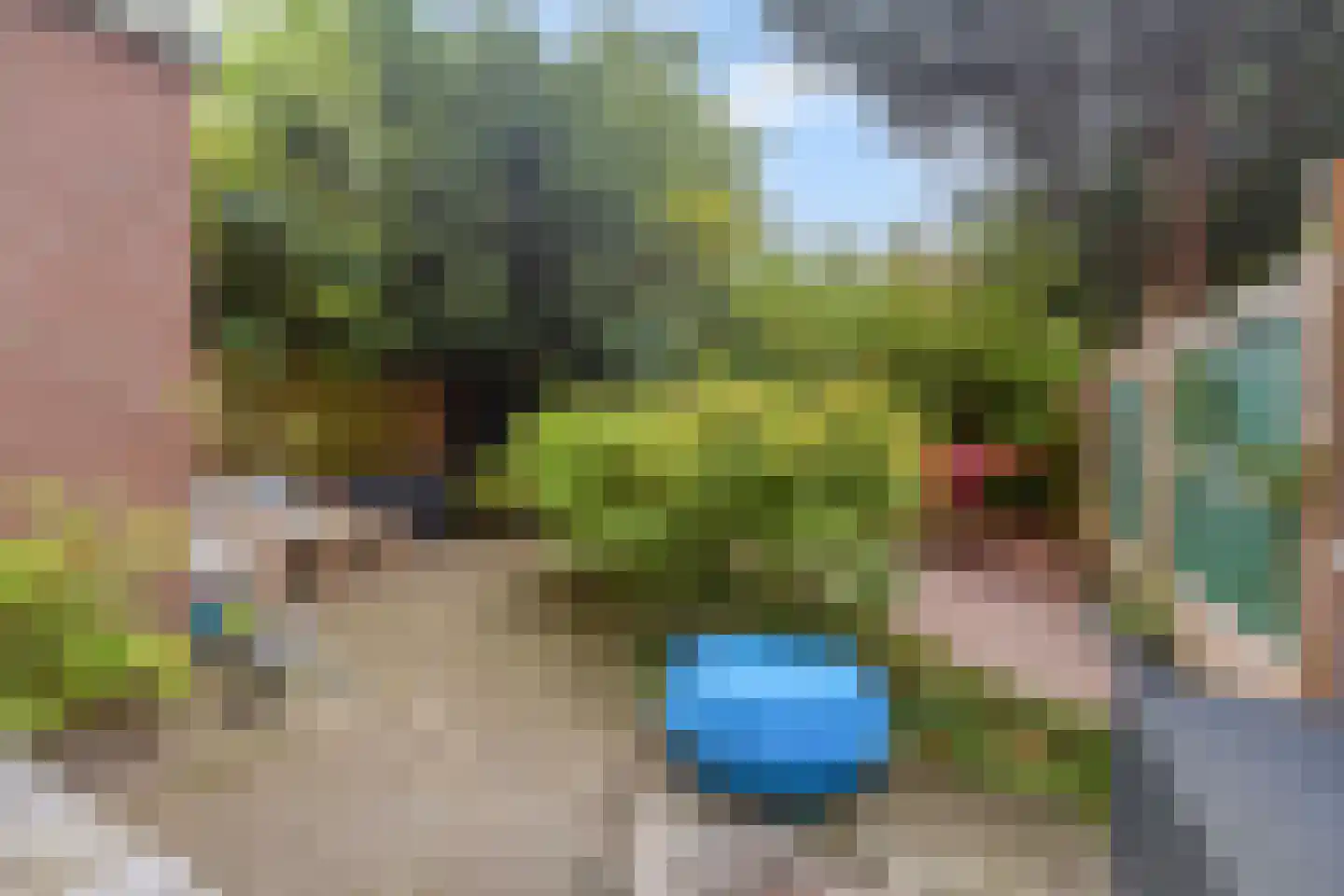 Leerdamhof 464 Amsterdam thumbnail 25
