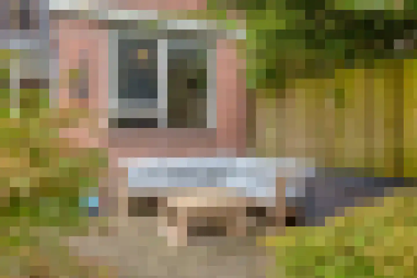 Leerdamhof 464 Amsterdam thumbnail 31