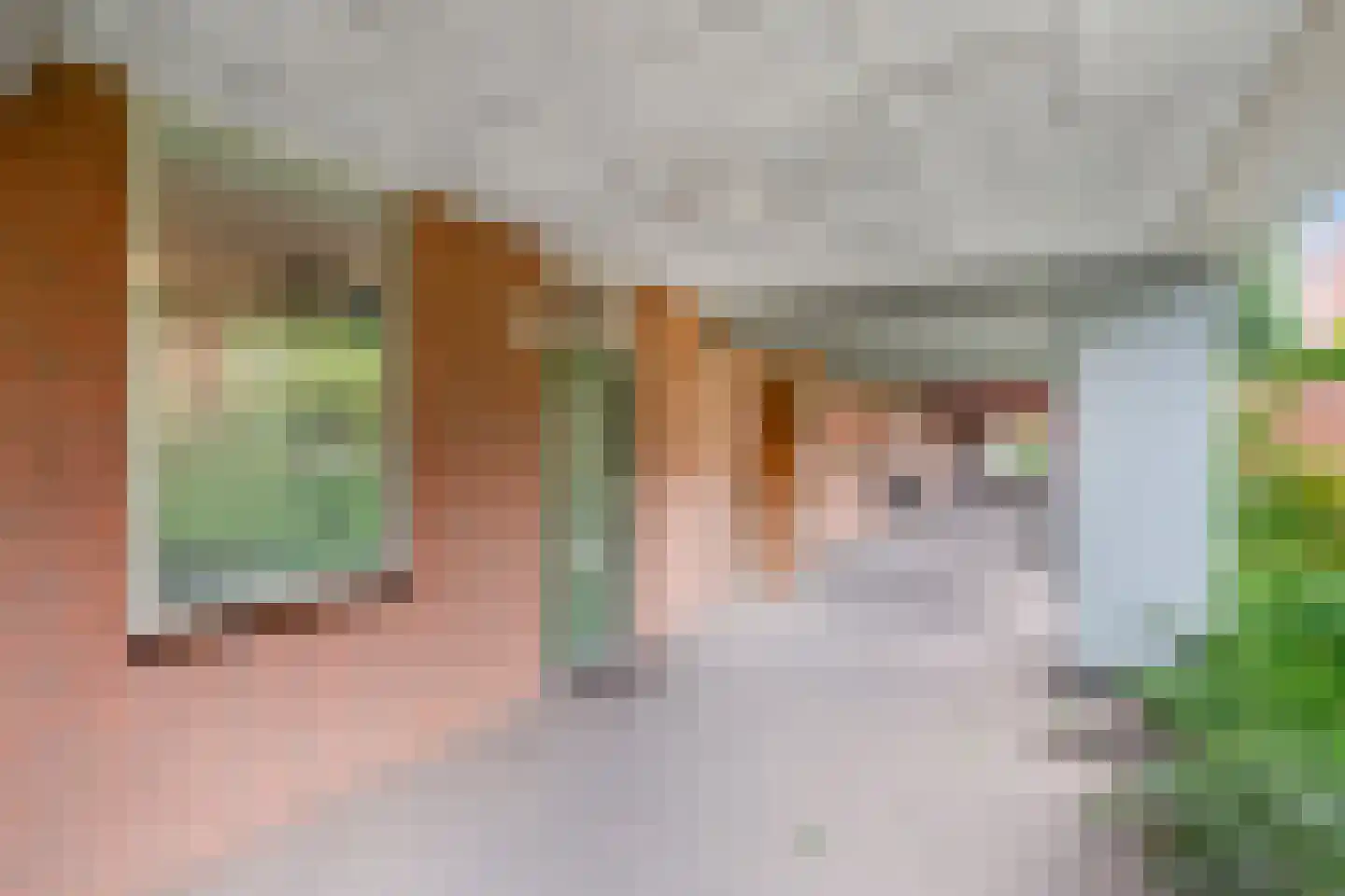 Leerdamhof 464 Amsterdam thumbnail 5