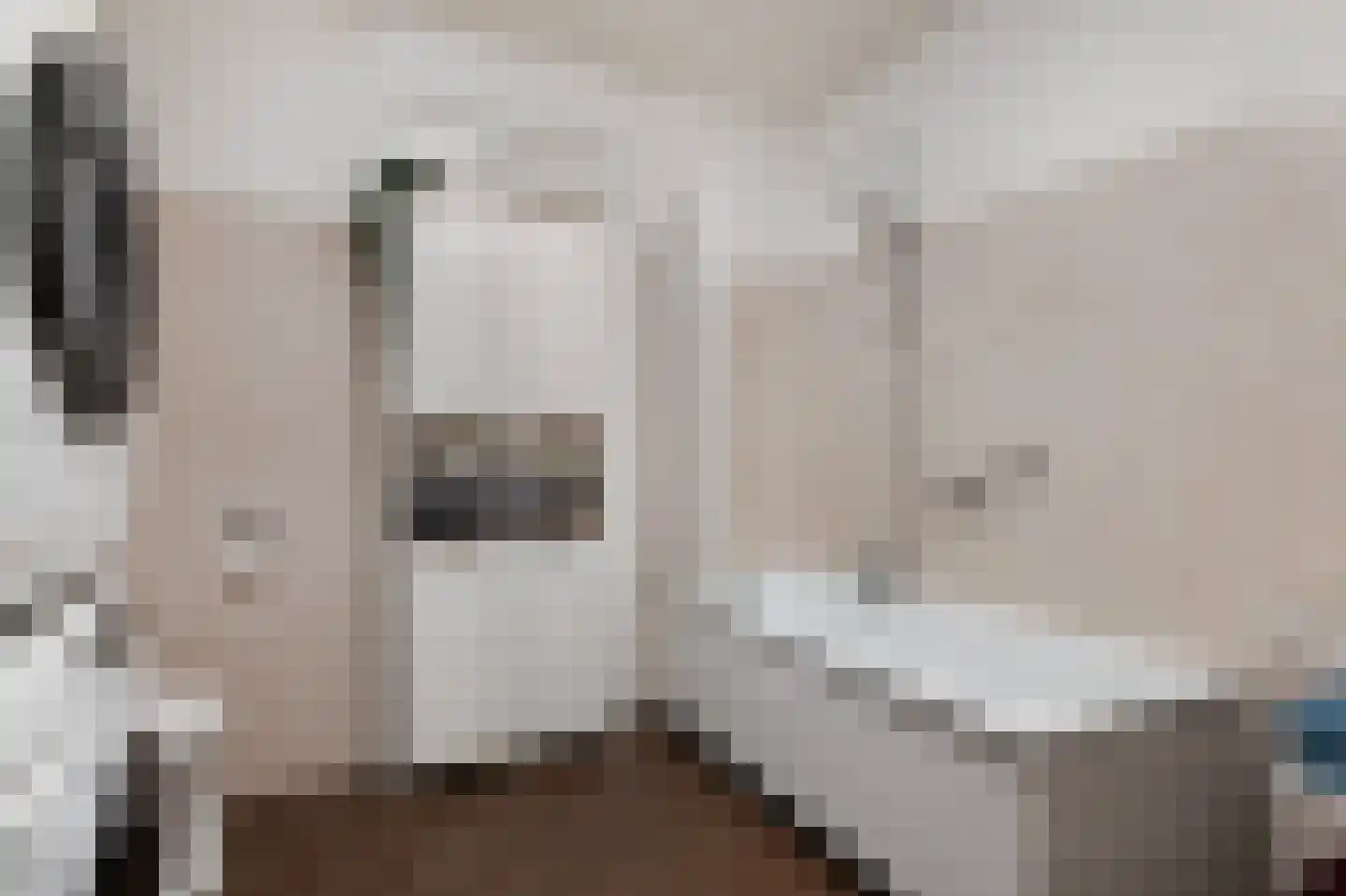 Leerdamhof 476 Amsterdam thumbnail 12