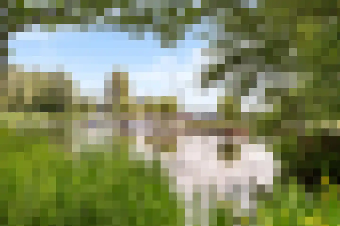 Leerdamhof 476 Amsterdam thumbnail 22