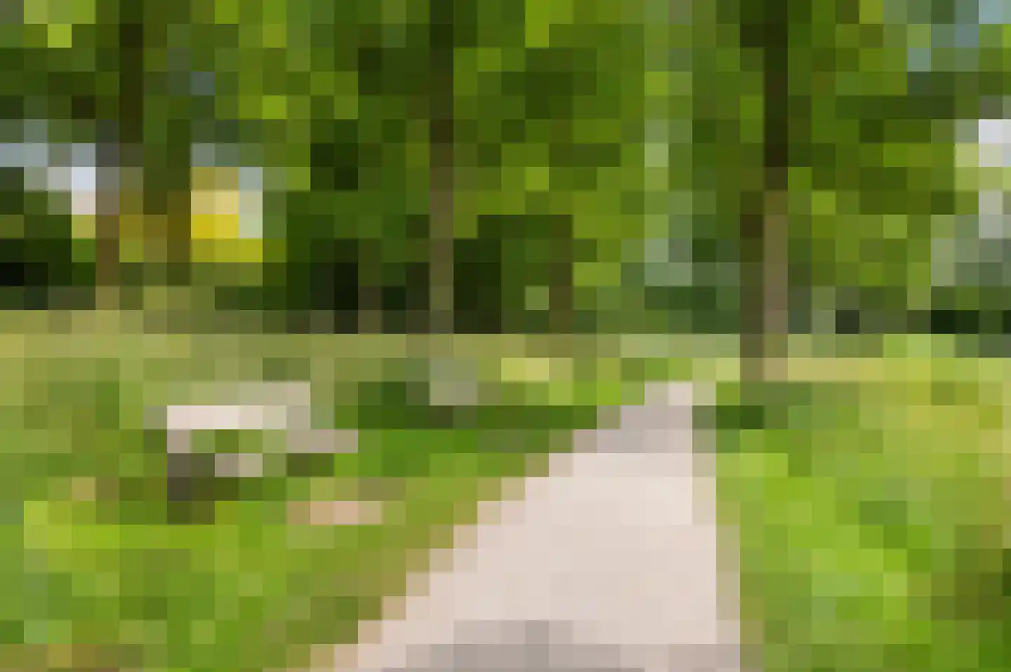 Leerdamhof 476 Amsterdam thumbnail 23