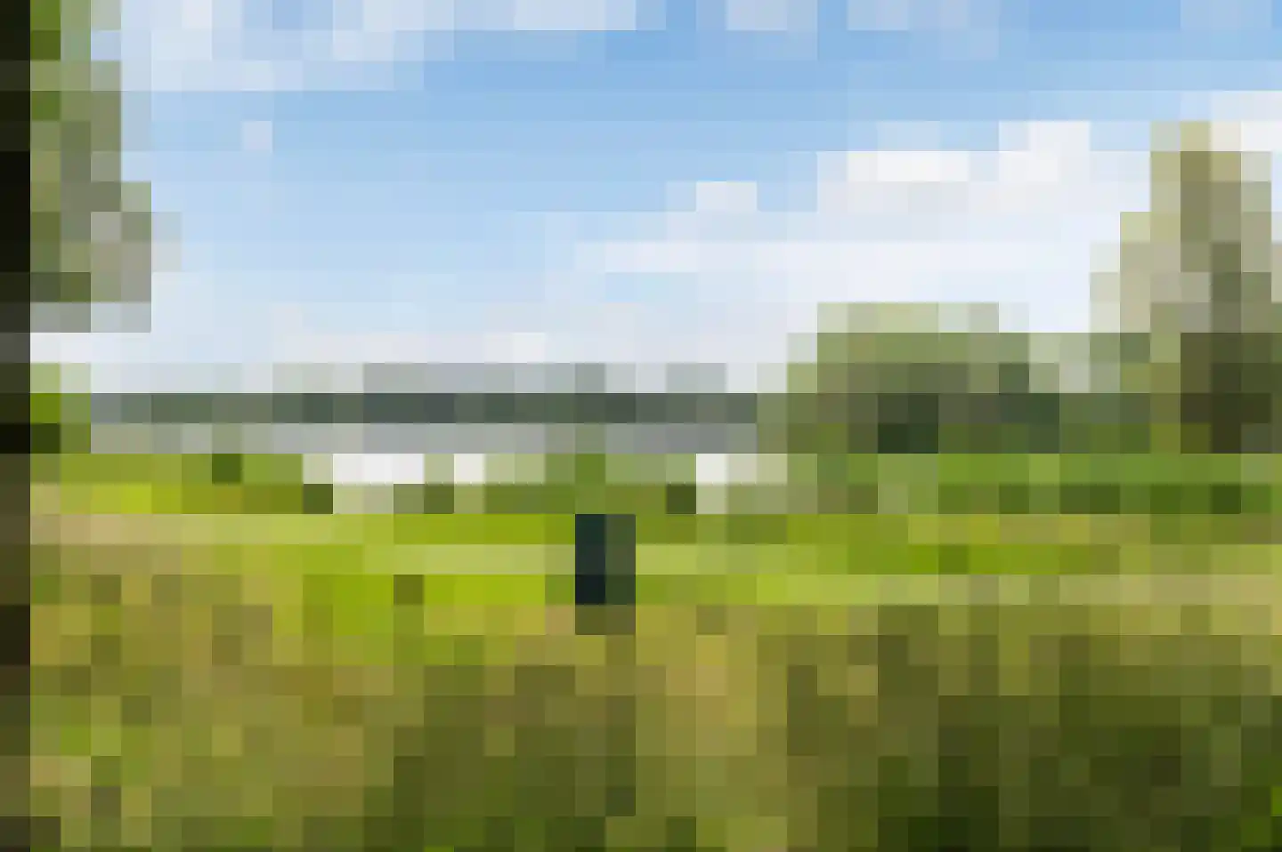 Leerdamhof 476 Amsterdam thumbnail 24