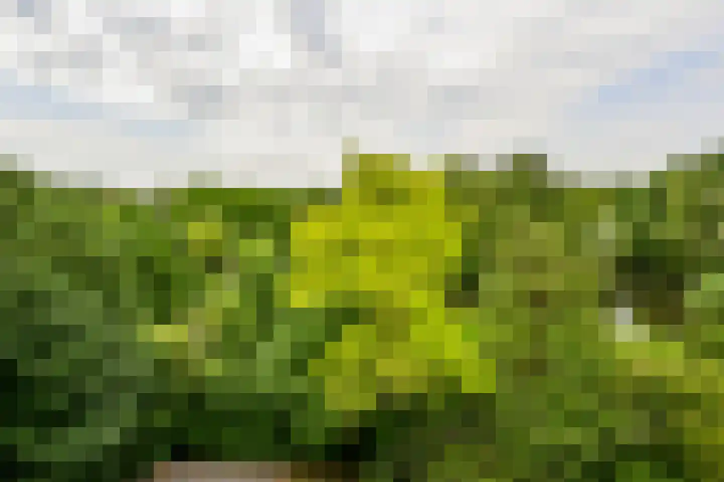 Leerdamhof 478 Amsterdam thumbnail 11