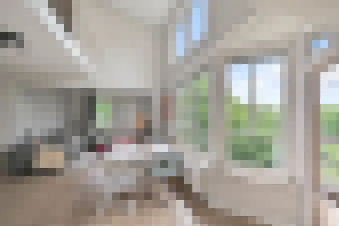 Leerdamhof 478 Amsterdam thumbnail 13