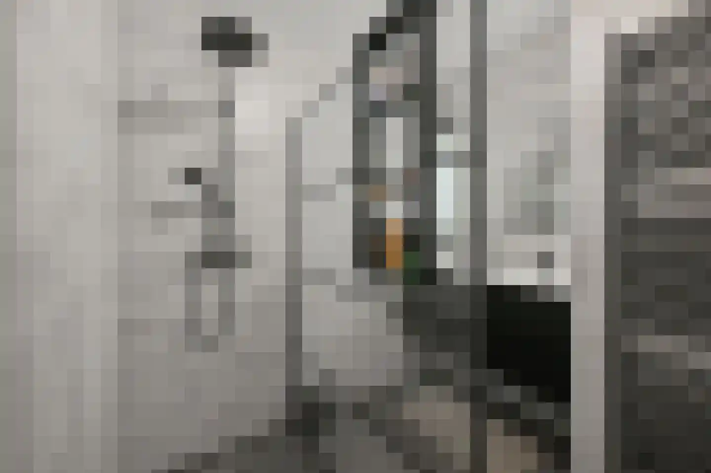 Leerdamhof 478 Amsterdam thumbnail 20
