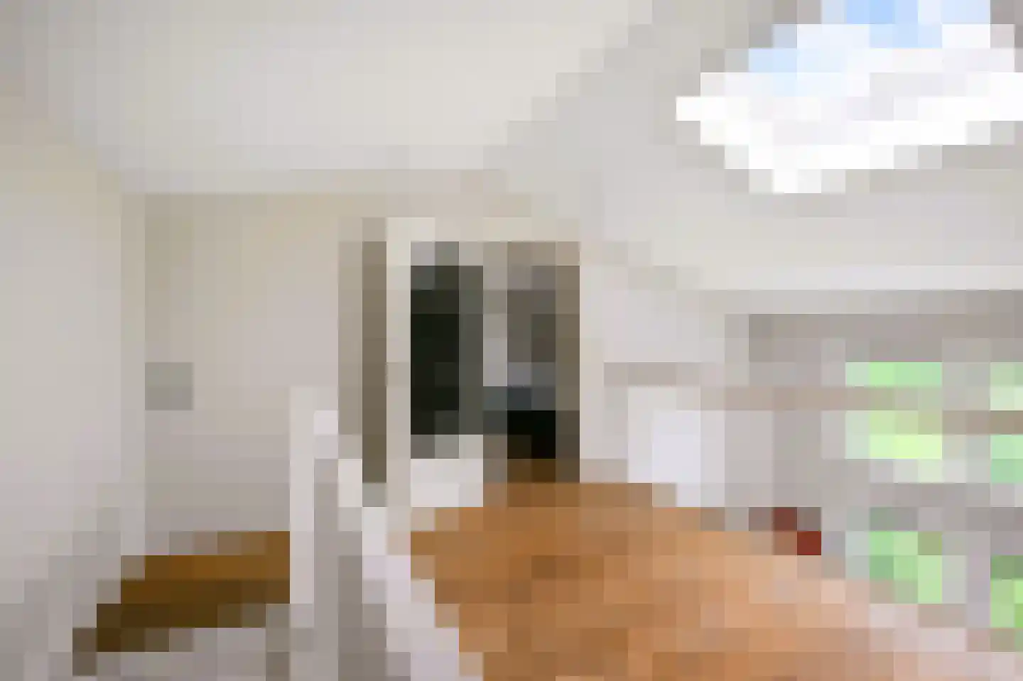 Leerdamhof 478 Amsterdam thumbnail 34
