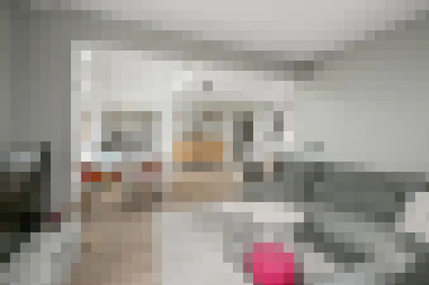 Leerdamhof 478 Amsterdam thumbnail 5