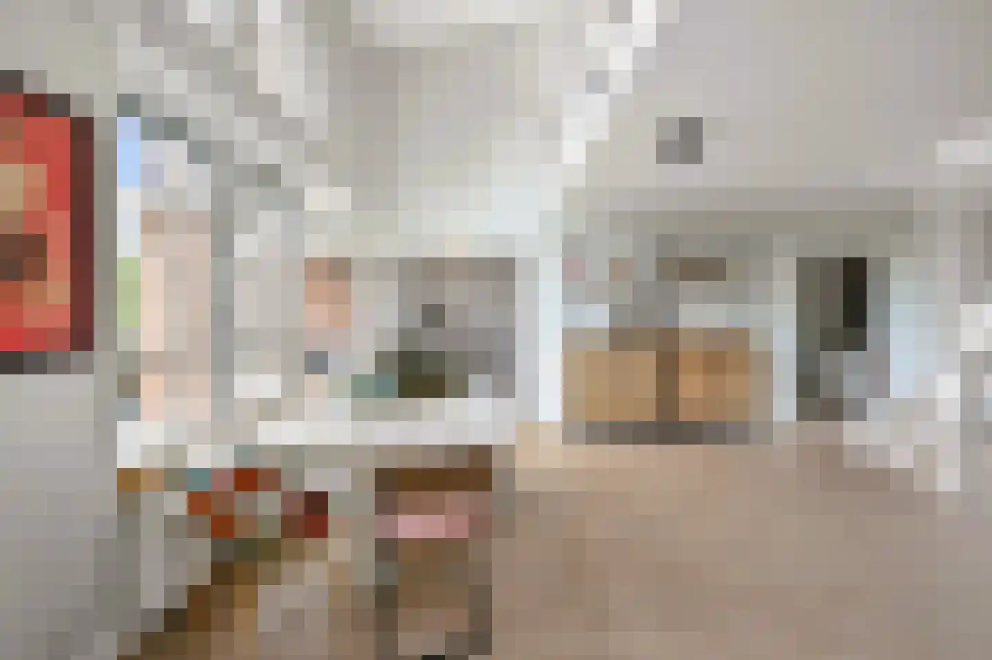 Leerdamhof 478 Amsterdam thumbnail 6
