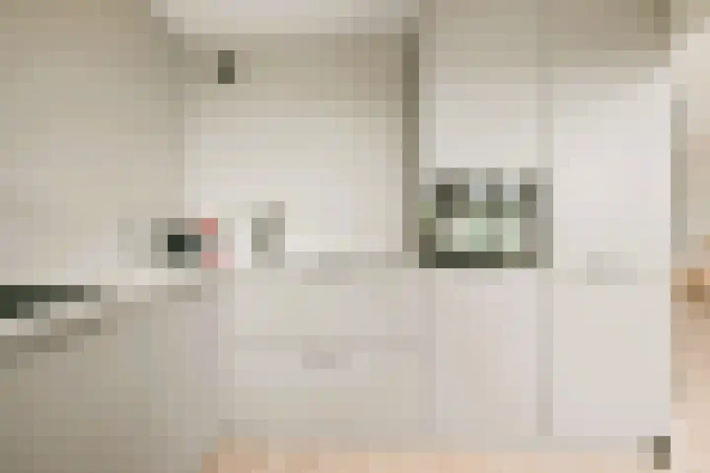 Leerdamhof 478 Amsterdam thumbnail 7