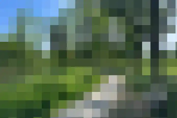 Leerdamhof 50 Amsterdam thumbnail 18