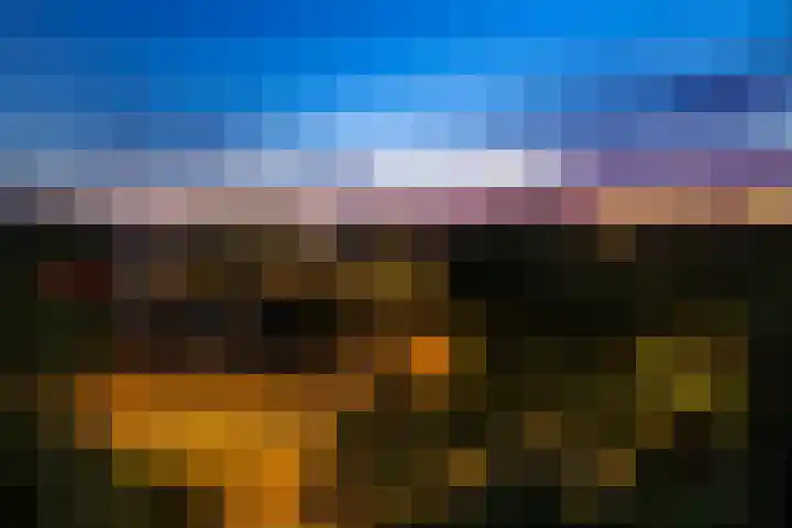 Leerdamhof 50 Amsterdam thumbnail 4