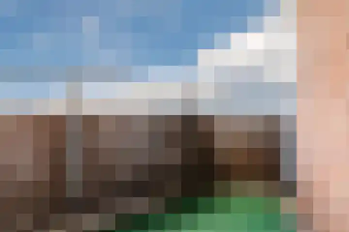 Leerdamhof 59 Amsterdam thumbnail 19