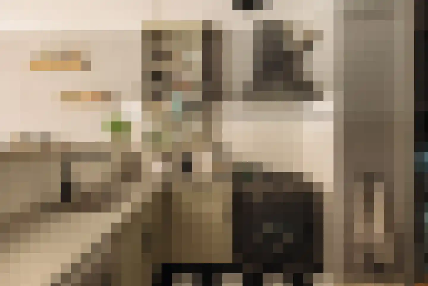 Leerdamhof 7 Amsterdam thumbnail 11