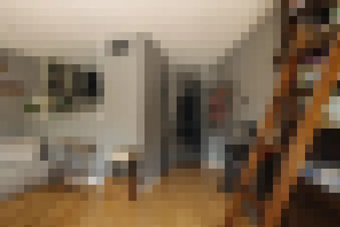 Leerdamhof 7 Amsterdam thumbnail 12