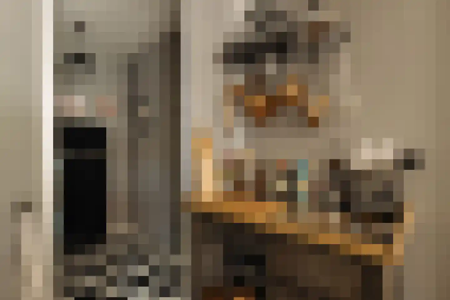 Leerdamhof 7 Amsterdam thumbnail 13