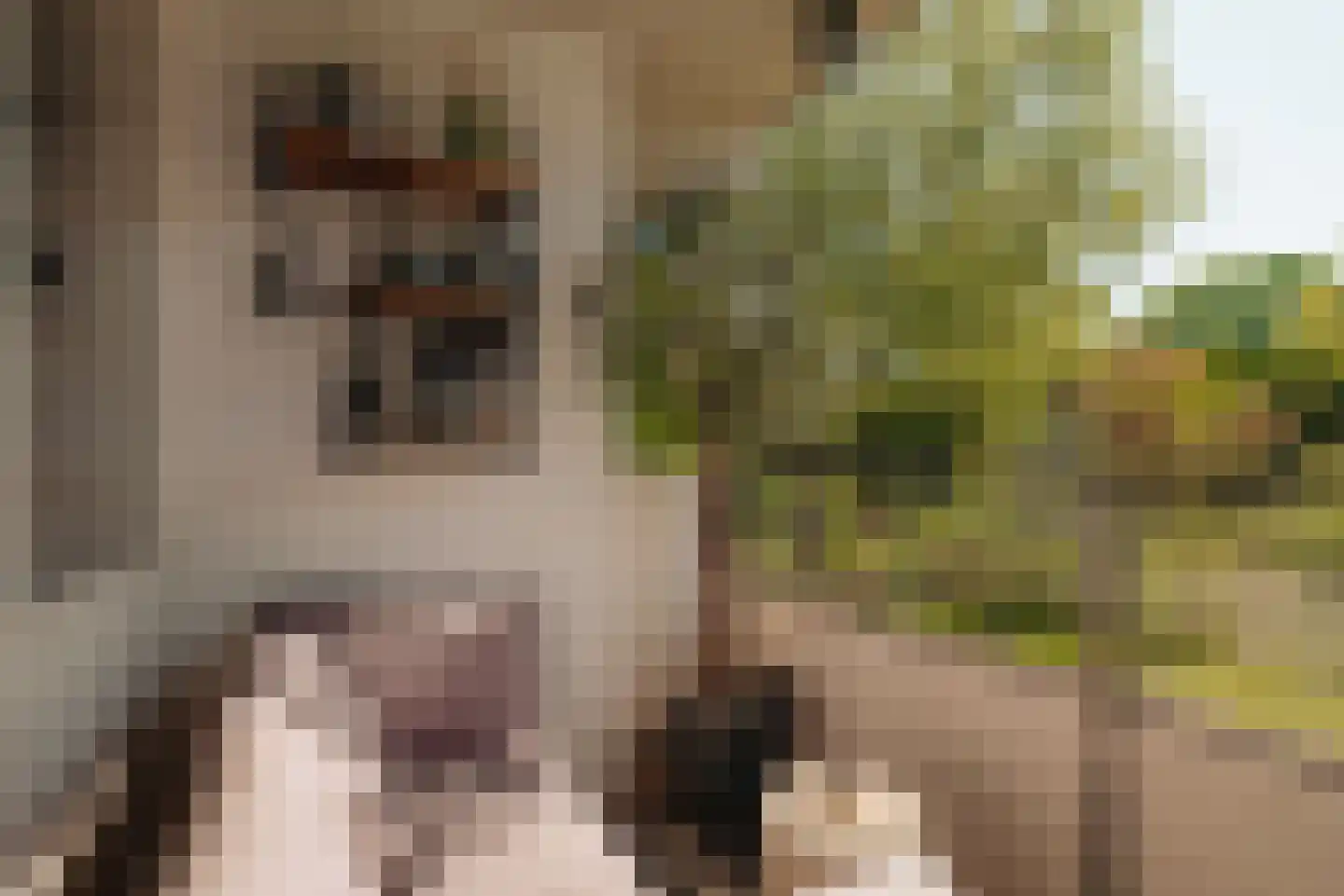 Leerdamhof 7 Amsterdam thumbnail 4