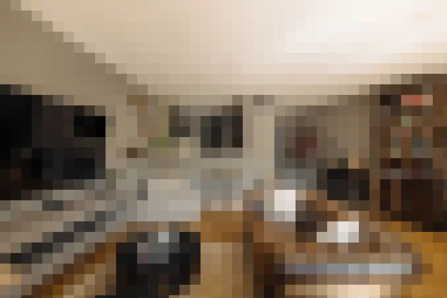 Leerdamhof 7 Amsterdam thumbnail 8