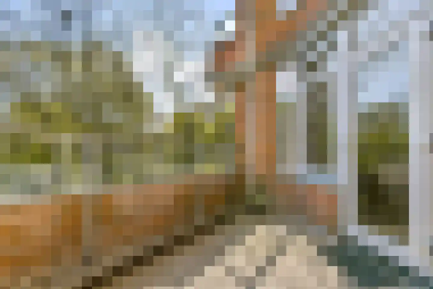 Leerdamhof 75 Amsterdam thumbnail 12