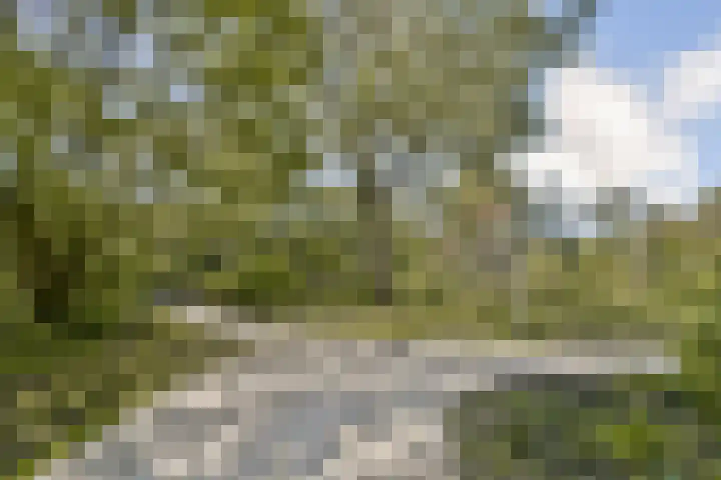 Leerdamhof 75 Amsterdam thumbnail 33