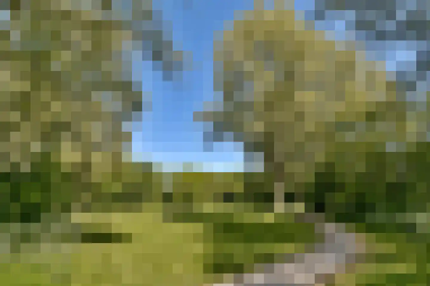 Leerdamhof 75 Amsterdam thumbnail 39