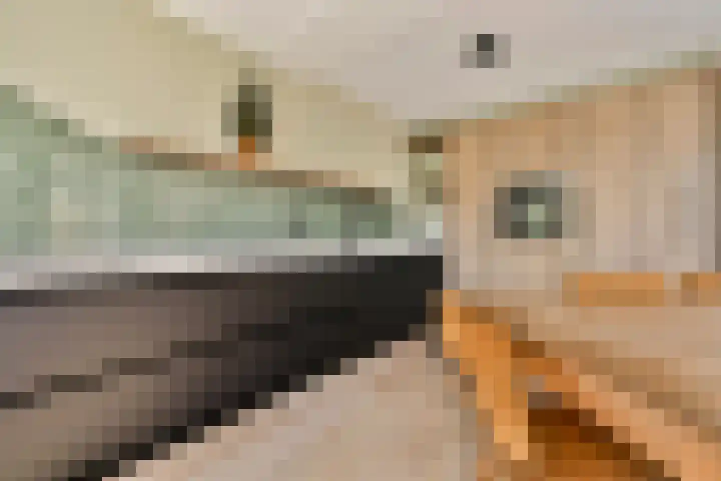 Leerdamhof 75 Amsterdam thumbnail 6