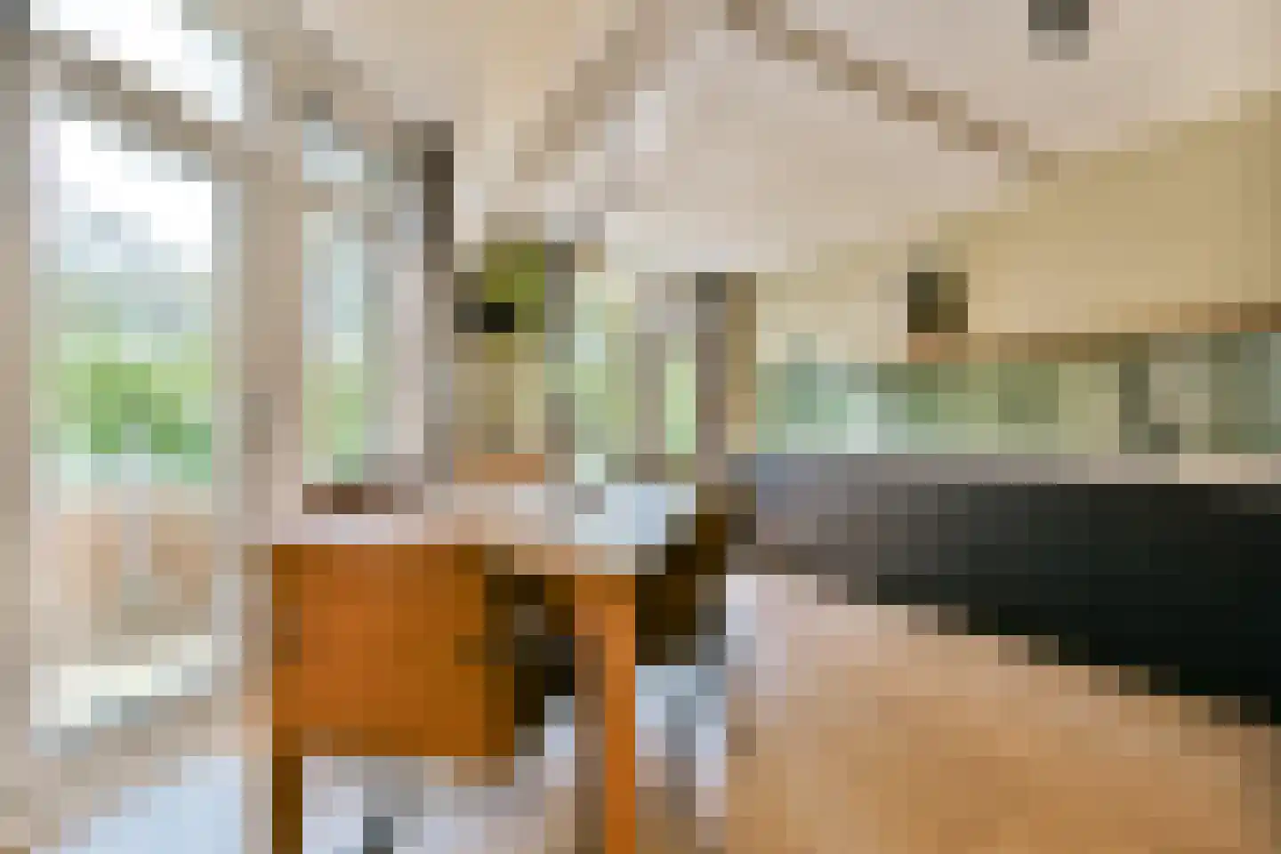 Leerdamhof 75 Amsterdam thumbnail 7