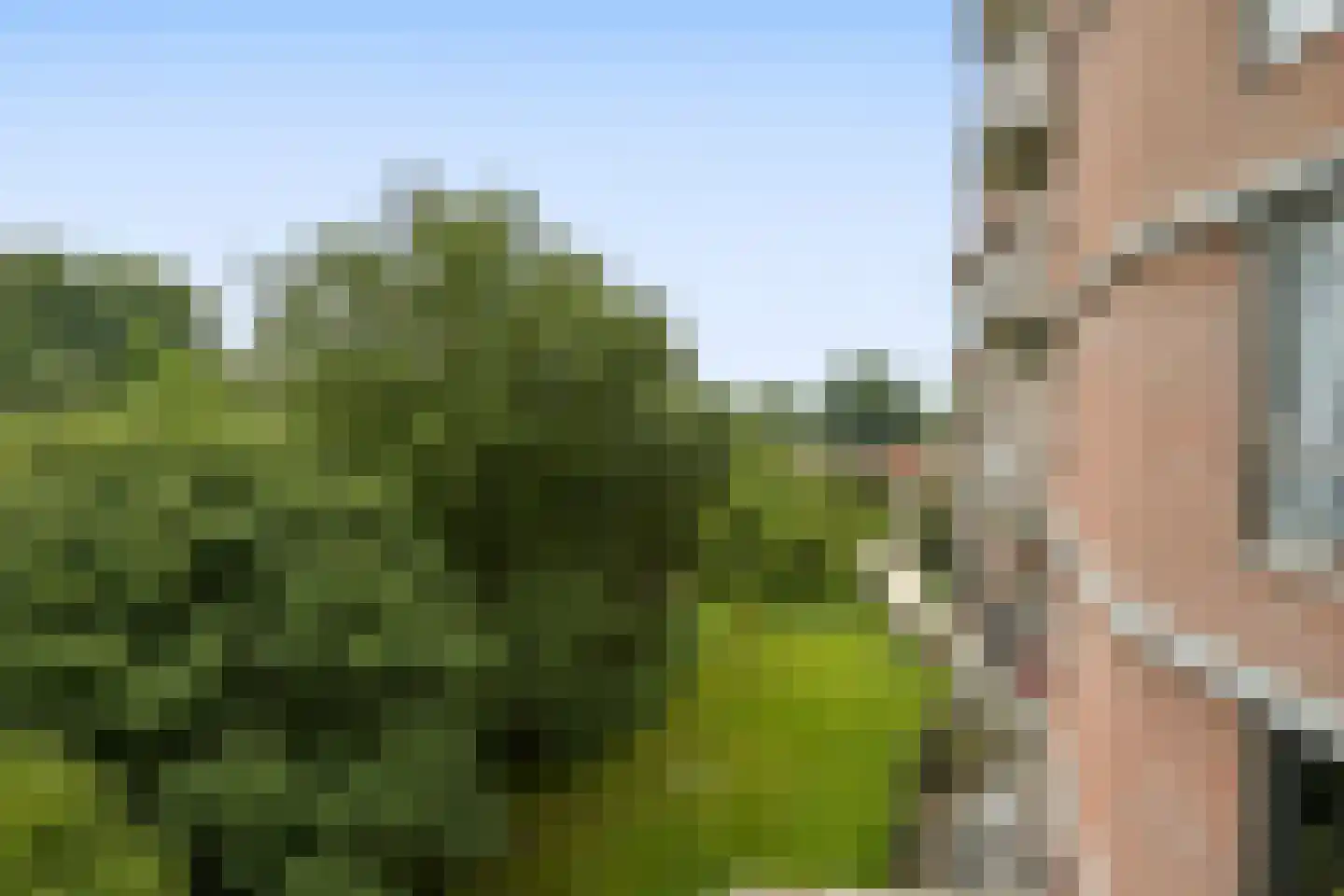 Leerdamhof 82 Amsterdam thumbnail 11