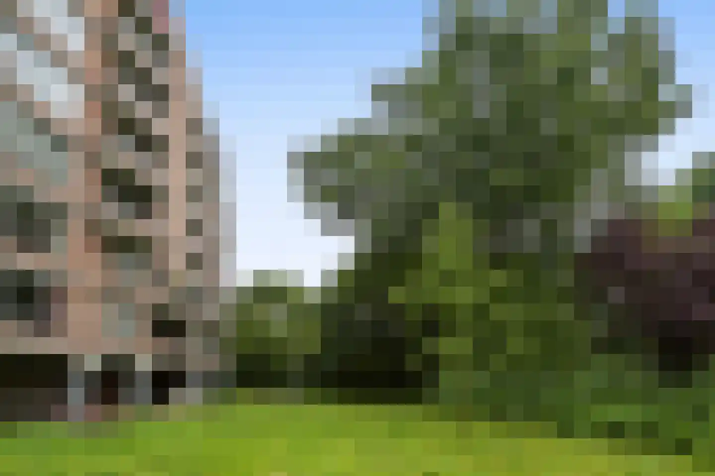 Leerdamhof 82 Amsterdam thumbnail 37