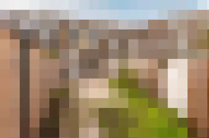 Leerdampad 44 Almere thumbnail 27